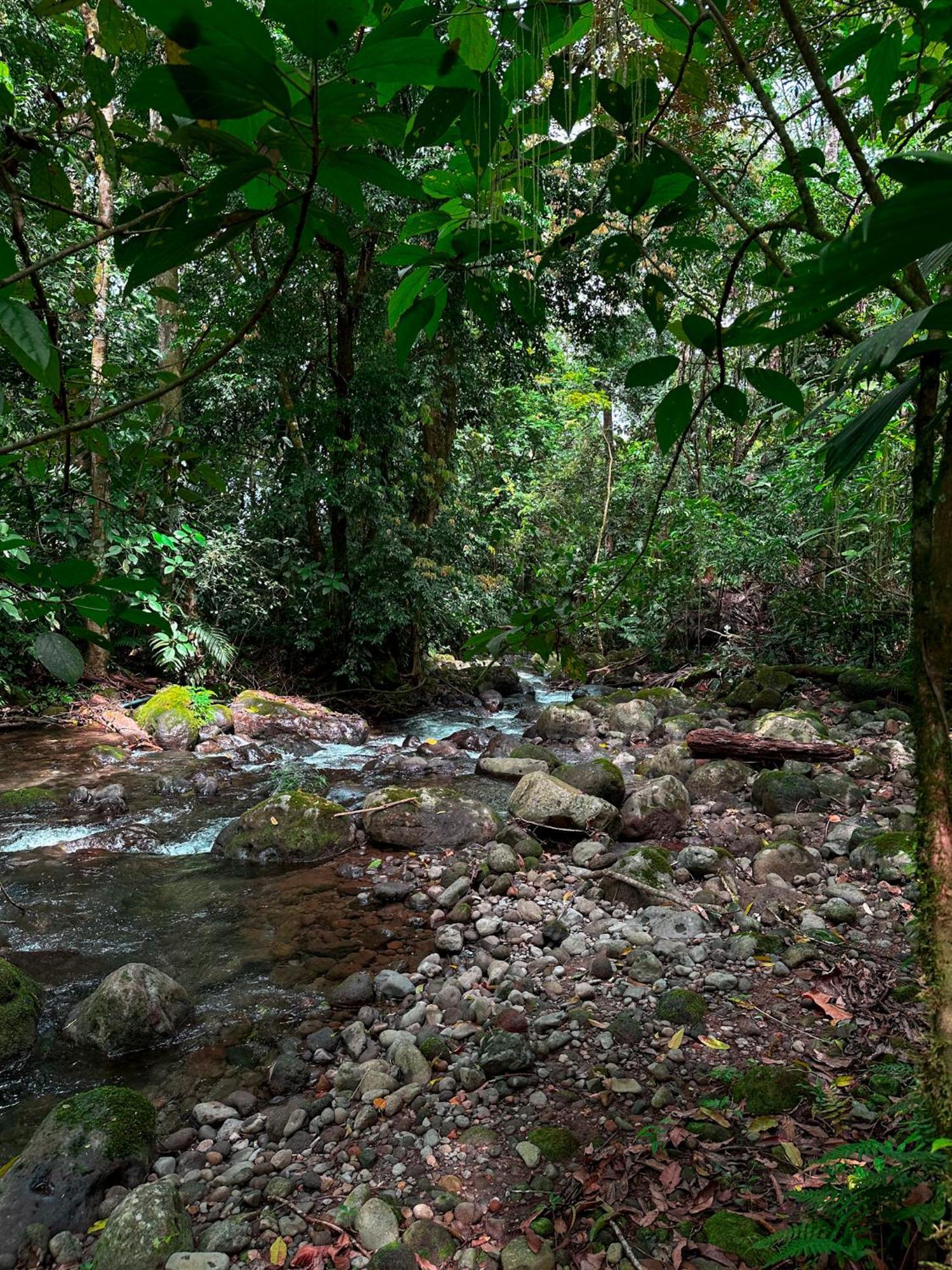 Cabanas Rio Escondido En La Fortuna ภายนอก รูปภาพ