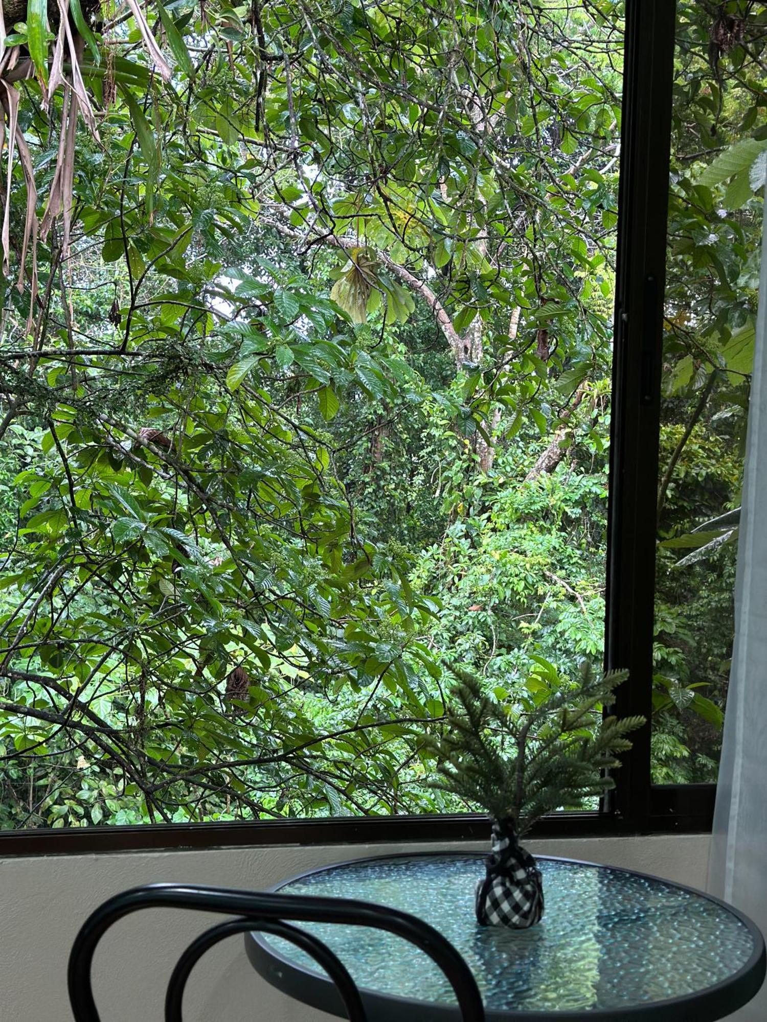 Cabanas Rio Escondido En La Fortuna ภายนอก รูปภาพ